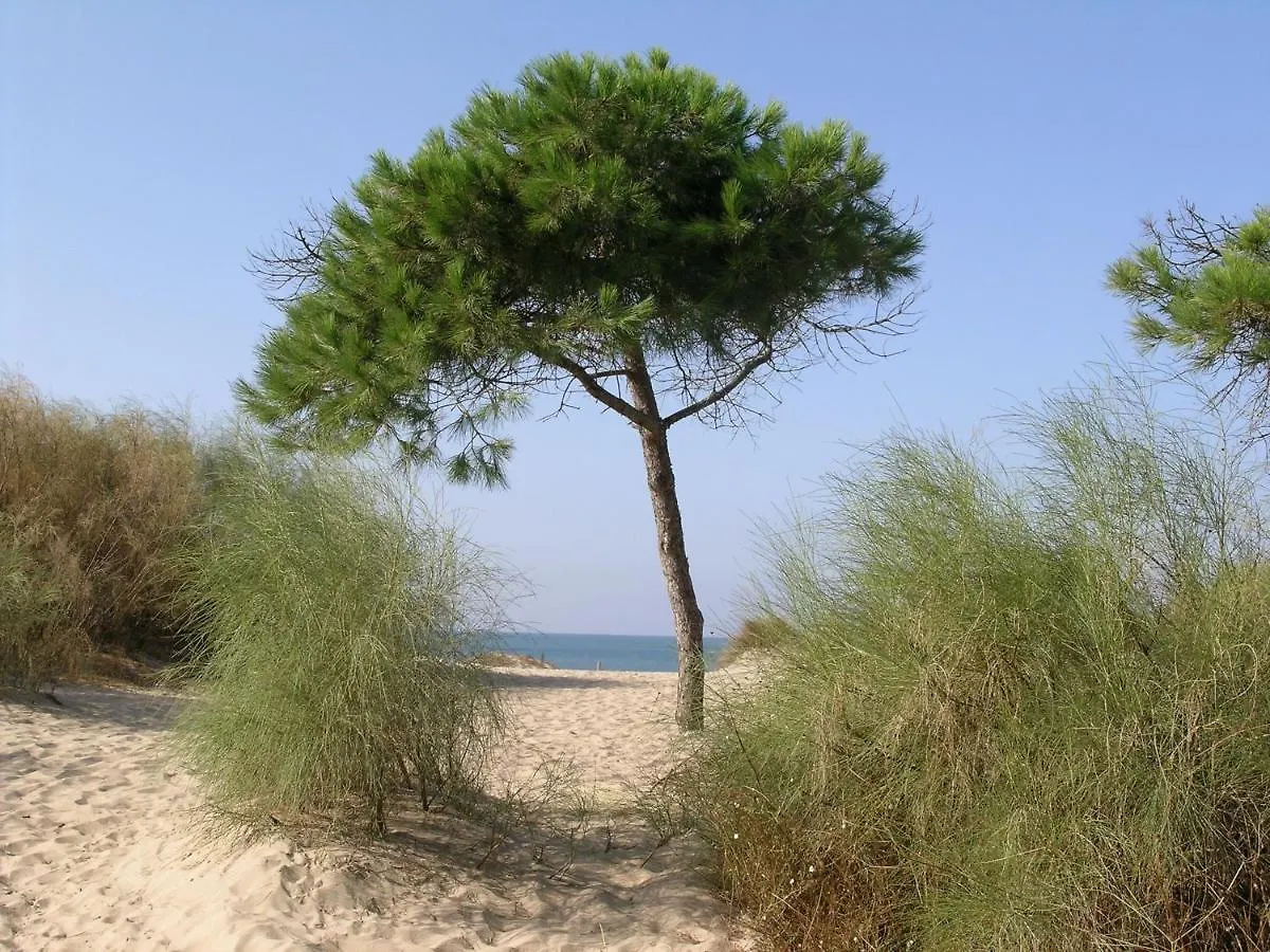Relax, Playa, Naturaleza…!!. Villa Independiente Con Jardin... Islantilla 0*,  Spain